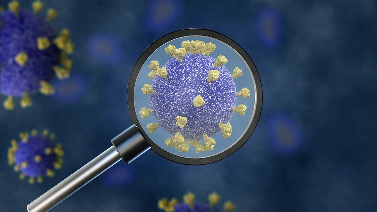 Infectious and Global Health Research Cluster